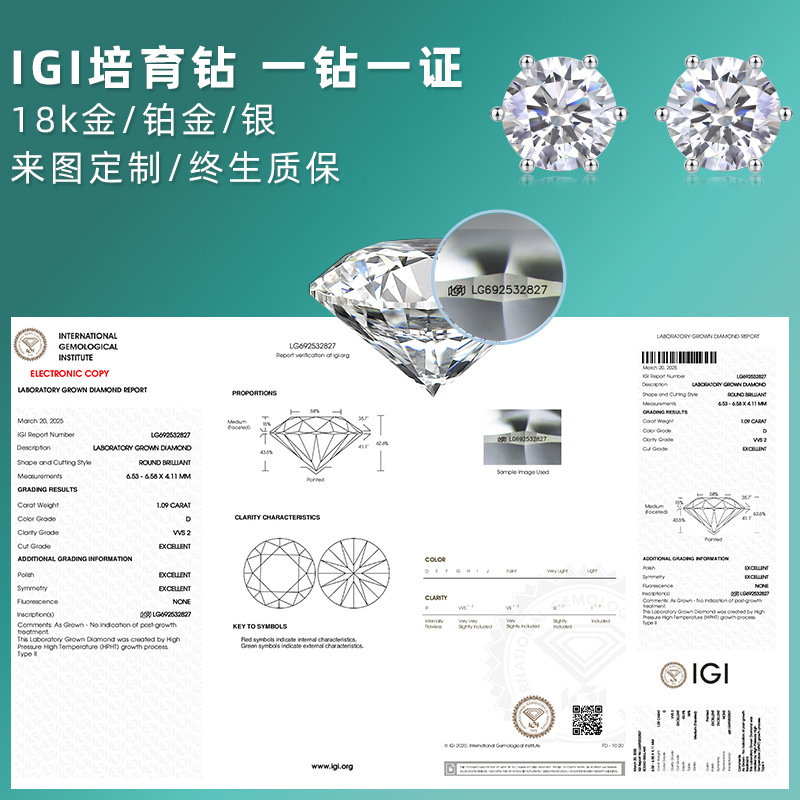 Factory Direct S925 Silver Simple D Color 18K Gold Custom Non-Removable Ear Piercing Round Igi Cultured Diamond Stud Earrings