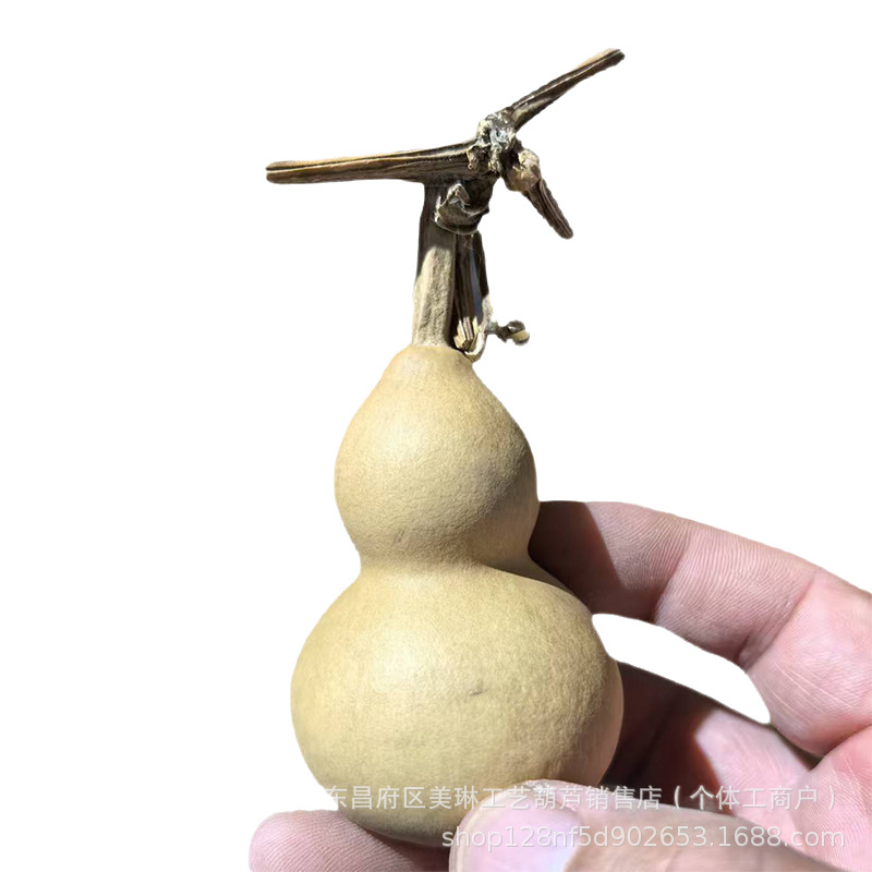 Small American Gourd Currency (No Cracking, No Single Stem) Natural Gourd龙头 (Random Delivery) 4- 6cm