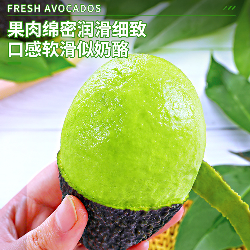 Avocado Fresh Fruit Flagship Store Ready-To-Eat Mexican Seasonal Baby Food Supplement Large Fruit Large Avocado Free Shipping