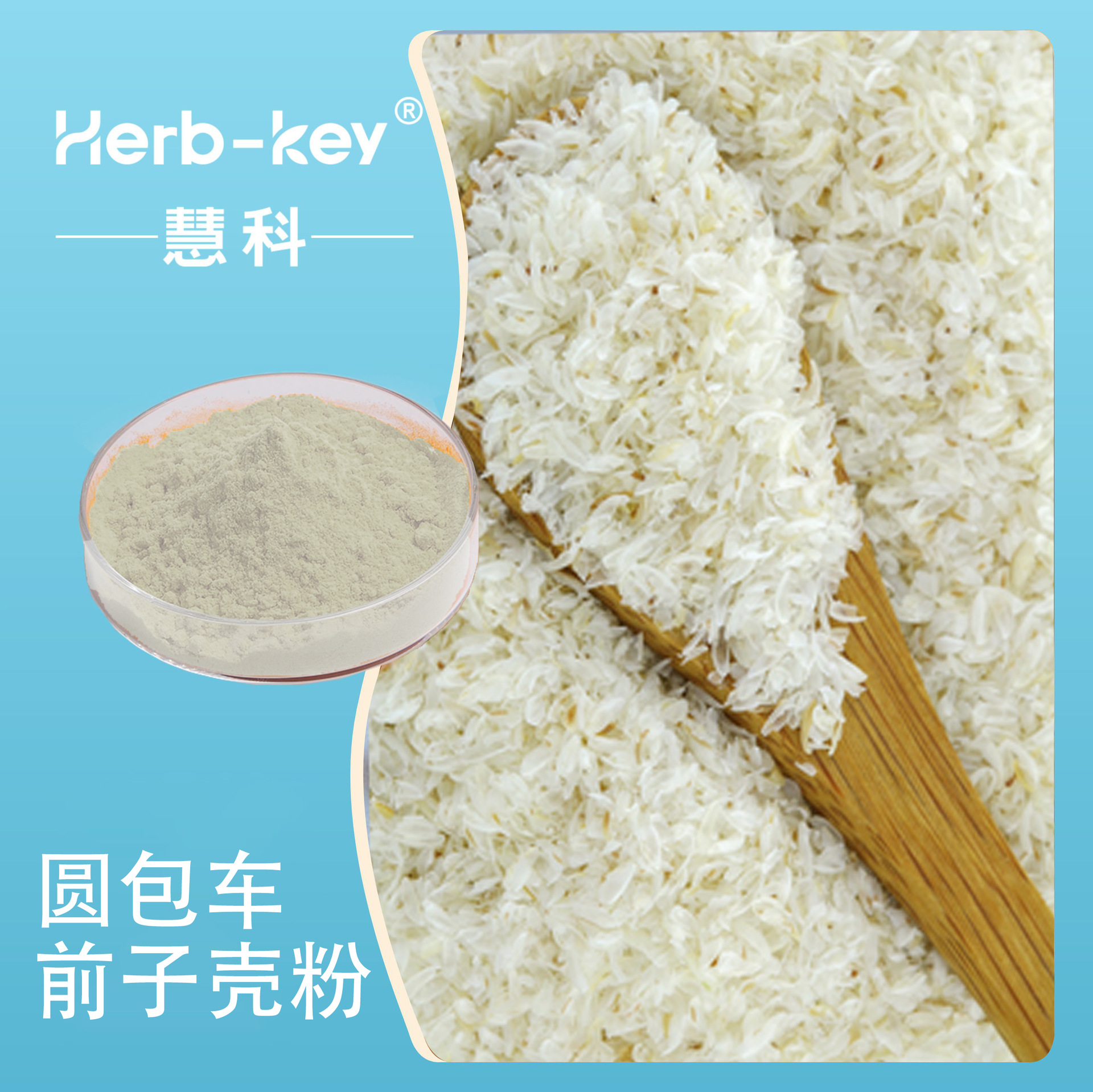 Порошок оболочки семян псиллиума 98%, производитель Shaanxi Huike, экстракт порошка с бесплатной доставкой