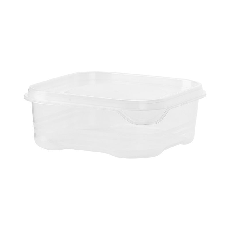 Wholesale Food Storage Crisper Frozen Layer Frozen Meat Sealed Square Refrigerator Storage Box Vegetable and Fruit Storage Box