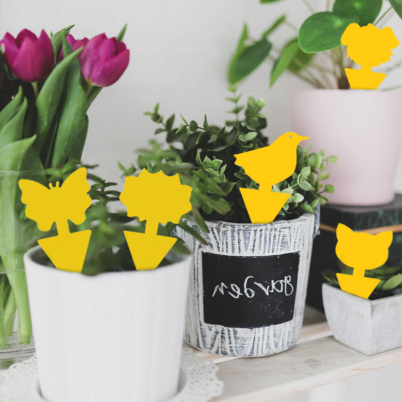 Foreign trade double-sided sticky board sticky board yellow board trap special-shaped yellow flower-shaped sticky board insect trap trap