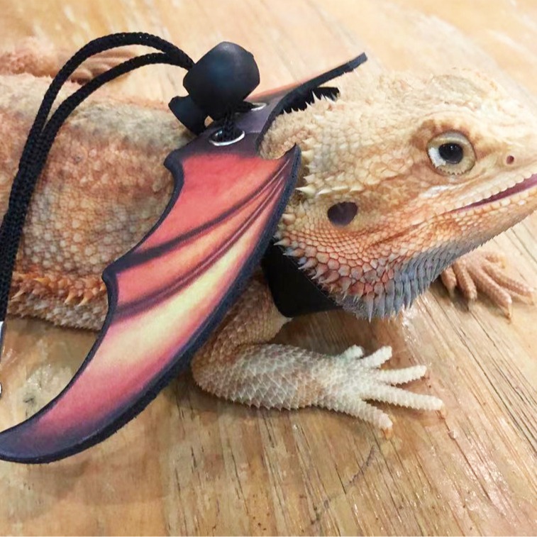 Lizard Traction Rope Climbing Pet Out Traction Rope Walking Lizard Rope Small Pet Traction Rope Festival Wings Traction Rope