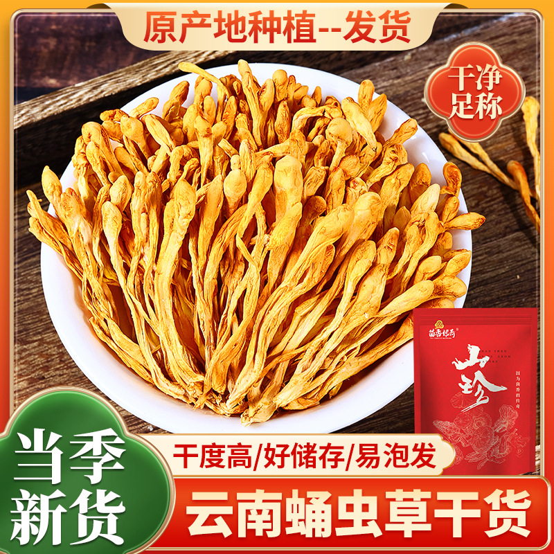 Cordyceps militaris Selected Cordyceps militaris Cordyceps militaris Cordyceps militaris Cordyceps militaris Flower Spore Head Dry Mushroom Soup Soup Ingredients