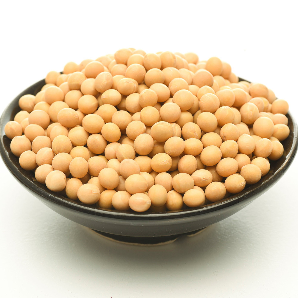 New Soybeans, Special for Making Soy Milk, Farm-Grown Grains, Sproutable Soybeans, Raw Soybeans, Oem