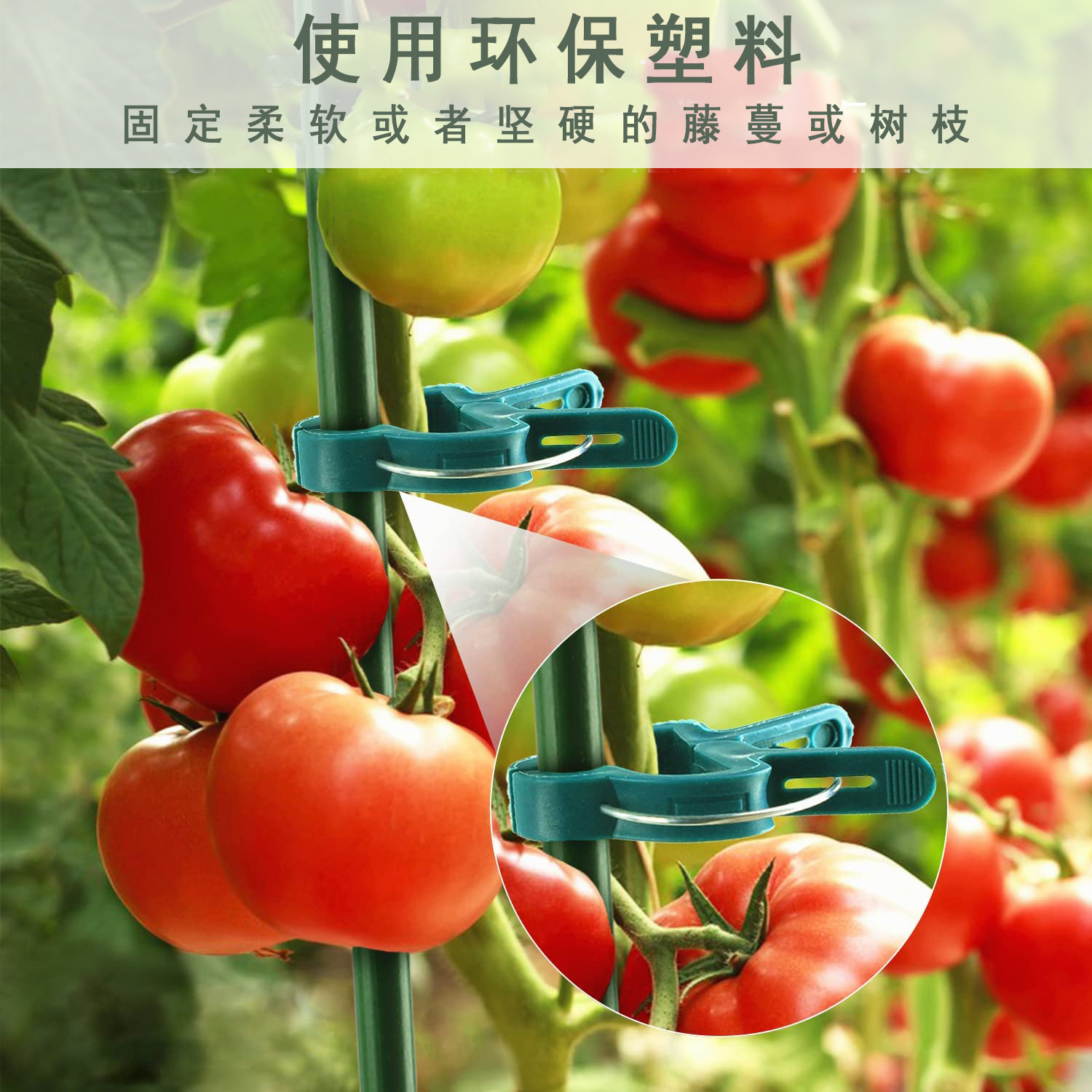 Cross-Border Gardening Flower Fixing Garden Tomato Plant Clips Plastic Clips Tools Factory Processing Custom Green Plants