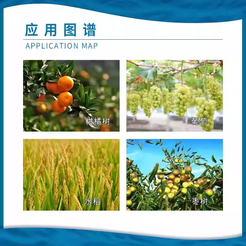 Qibao gibberellic acid 920 plant growth regulator elongation agent American Wallen whole box for sale postage