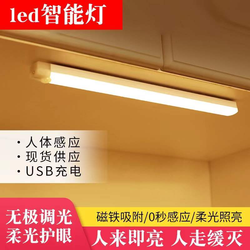 Led Cabinet Light Rechargeable Human Body Sensor Light Strip Wardrobe Light Bedroom Sleeping Dormitory Night Light Magnetic Strip