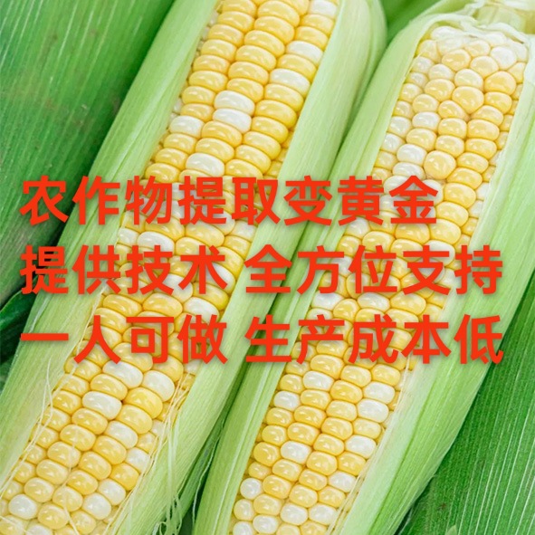 Crops Are Extracted to Produce Plant Protein Peptides, with Full Support from the Company to Help Farmers Start Their Own Businesses, Providing Technical Support and Supporting Repurchase