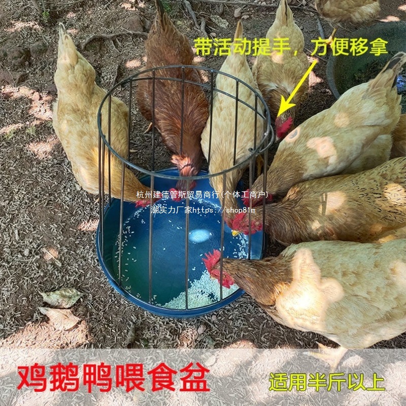 New Type of Feed Trough for Poultry, Chicken Farm, Chicken and Duck Feeding