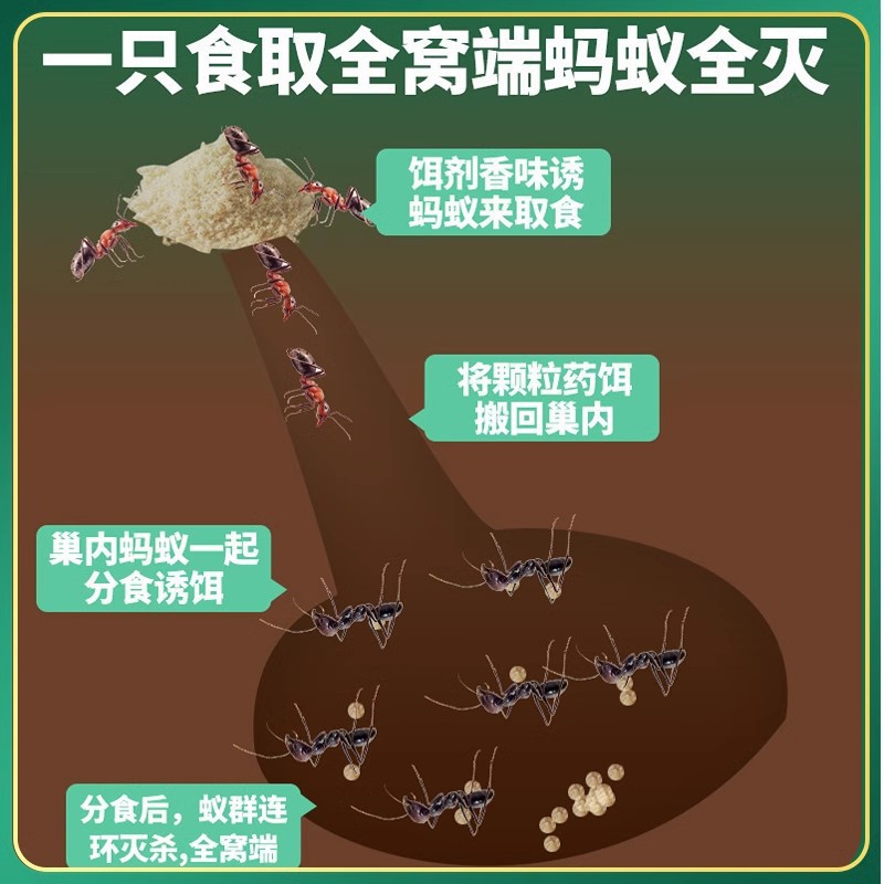 Green Leaf Ant Medicine Kills Ants Kill Small Black Ants Red Ants Yellow Ants Ant Removal Powder Ant-killing and Ant-killing Bait