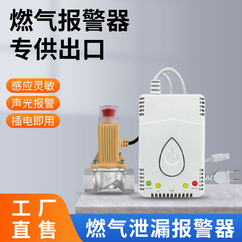 Gas Alarm European Standard Export Kitchen Natural Gas Detector Cross-border Household Combustible Gas Leak Detector