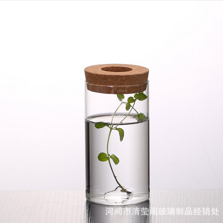 Straight tube with hole Straight tube fish bottle for sea urchin aquatic grass High Borosilicate glass tabletop micro landscape landscaping