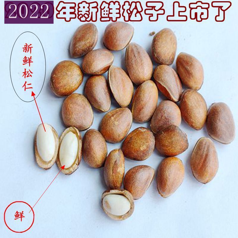 Hand-Picked from the Qinba Mountains, Raw Materials Are Sourced Directly from the Area. New Arrivals for 2023 Are Now Available for Nut Health Care