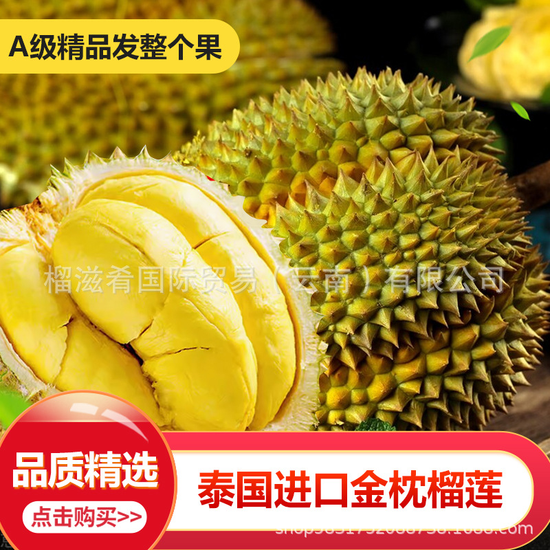 Свежий дуриан сорта Golden Pillow, оптовая продажа