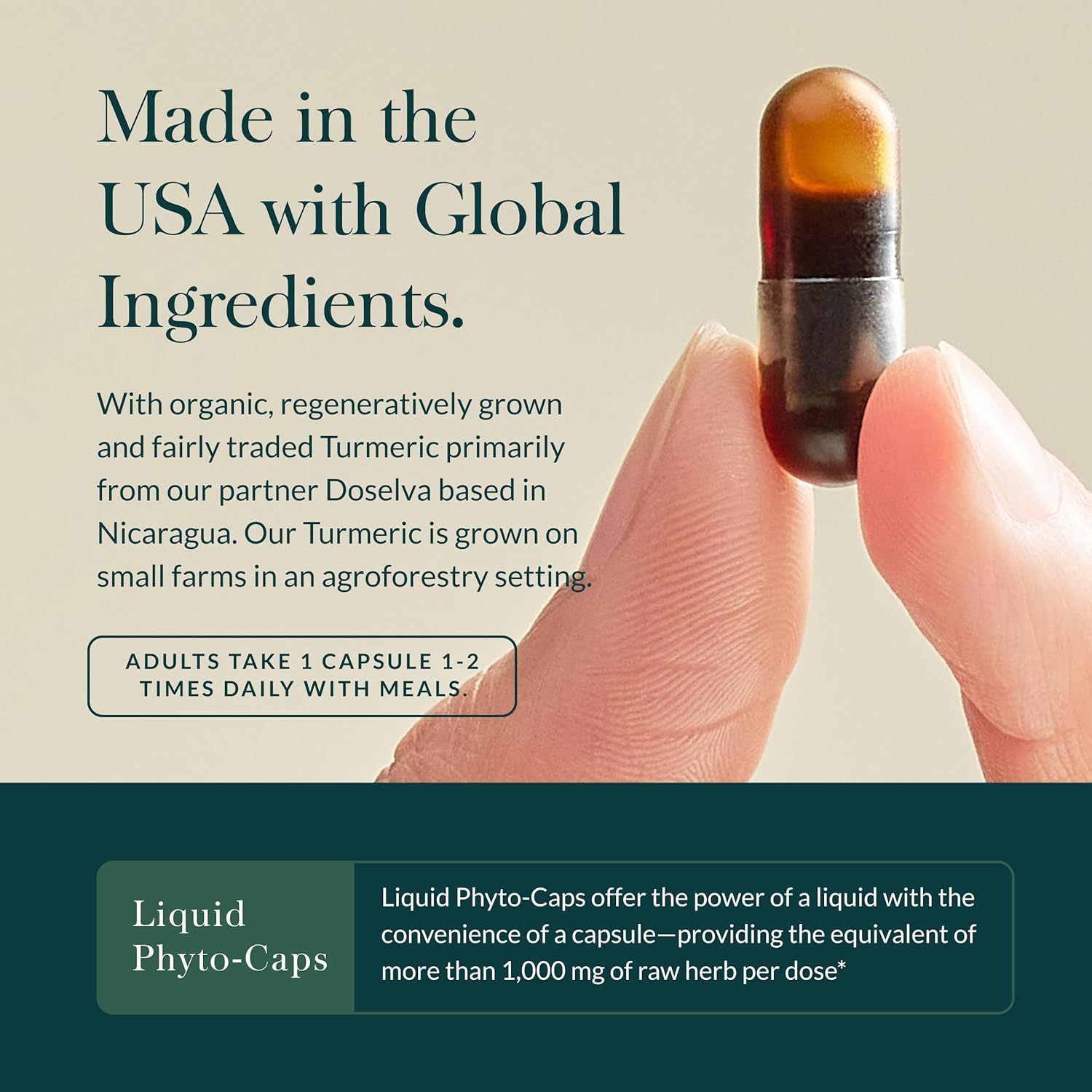 High Concentration Curcumin Liquid Capsules 30 Vegan Formula Joint Flexible Comfort Support Herbal Nutritional Supplement