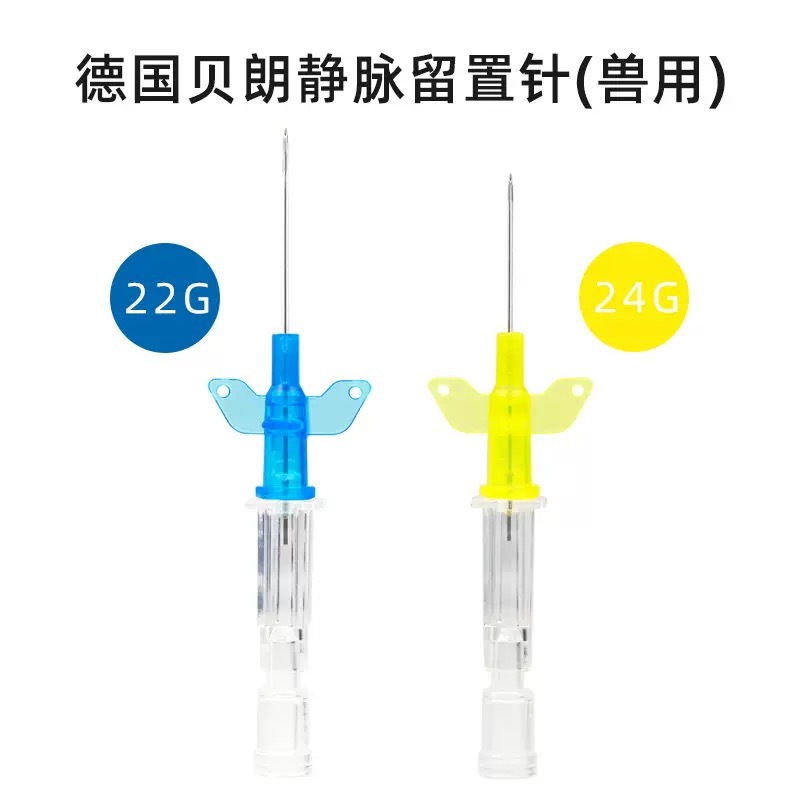 Bioland Intravenous Catheter 22G24G