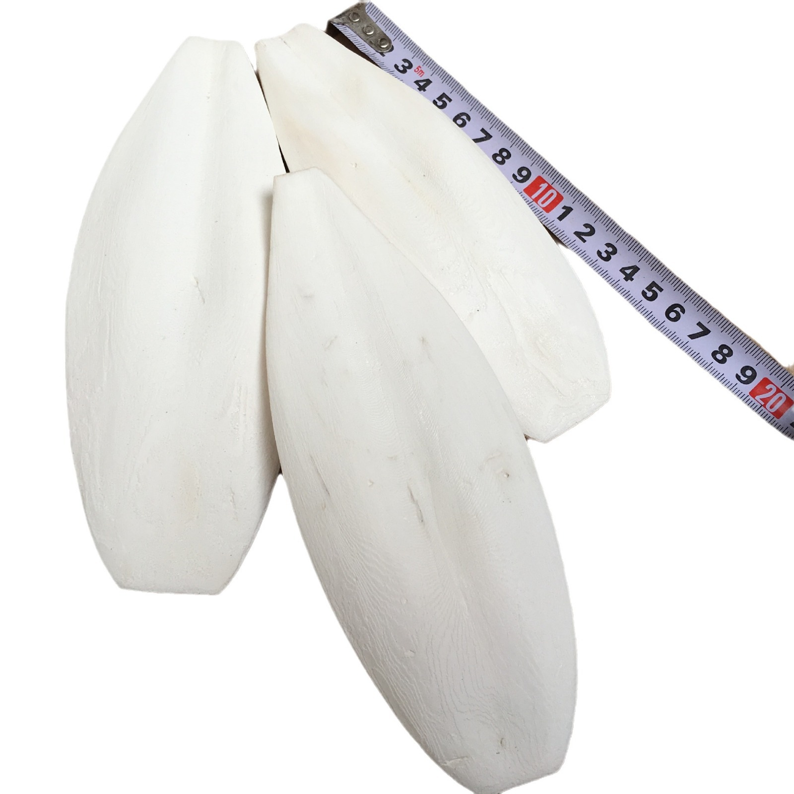 Wholesale Cuttlefish Bone Polishing and Trimming Jellyfish Pet Teeth Grinding New Goods Squid Bone Agricultural Products Jellyfish B