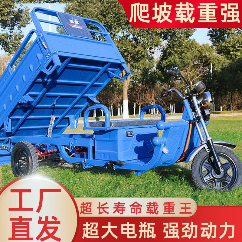 Электрический трицикл для взрослых, грузовой король, работающий от аккумулятора, улучшенный для перевозки детей, новая двухцелевой модель