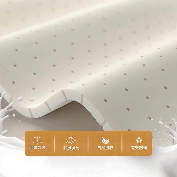 Folding Mattress Household Thick 20cm Latex Coconut Palm Hard Economic 1.5m1.8m