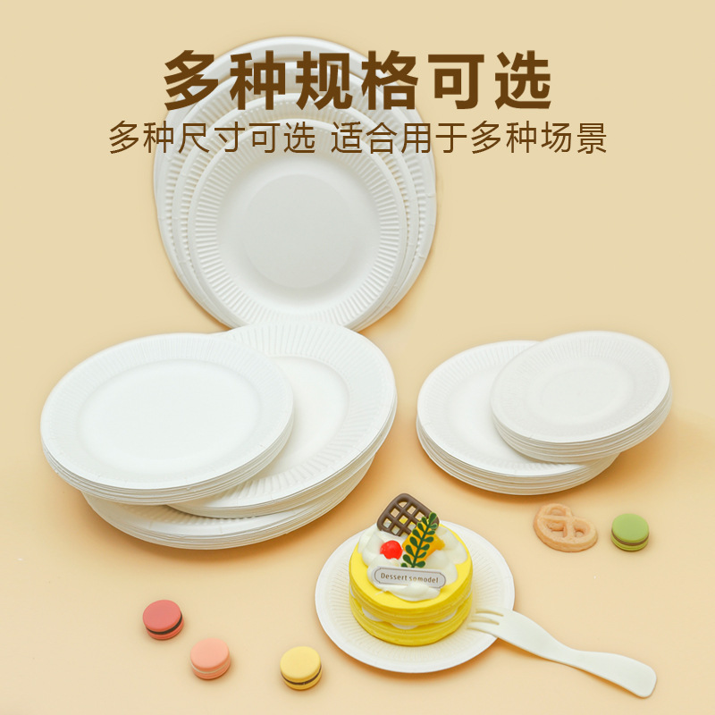 Disposable Dish Paper Plate Birthday Tableware White Cardboard Hand Drawing Party Food Display Plate Cake Tray