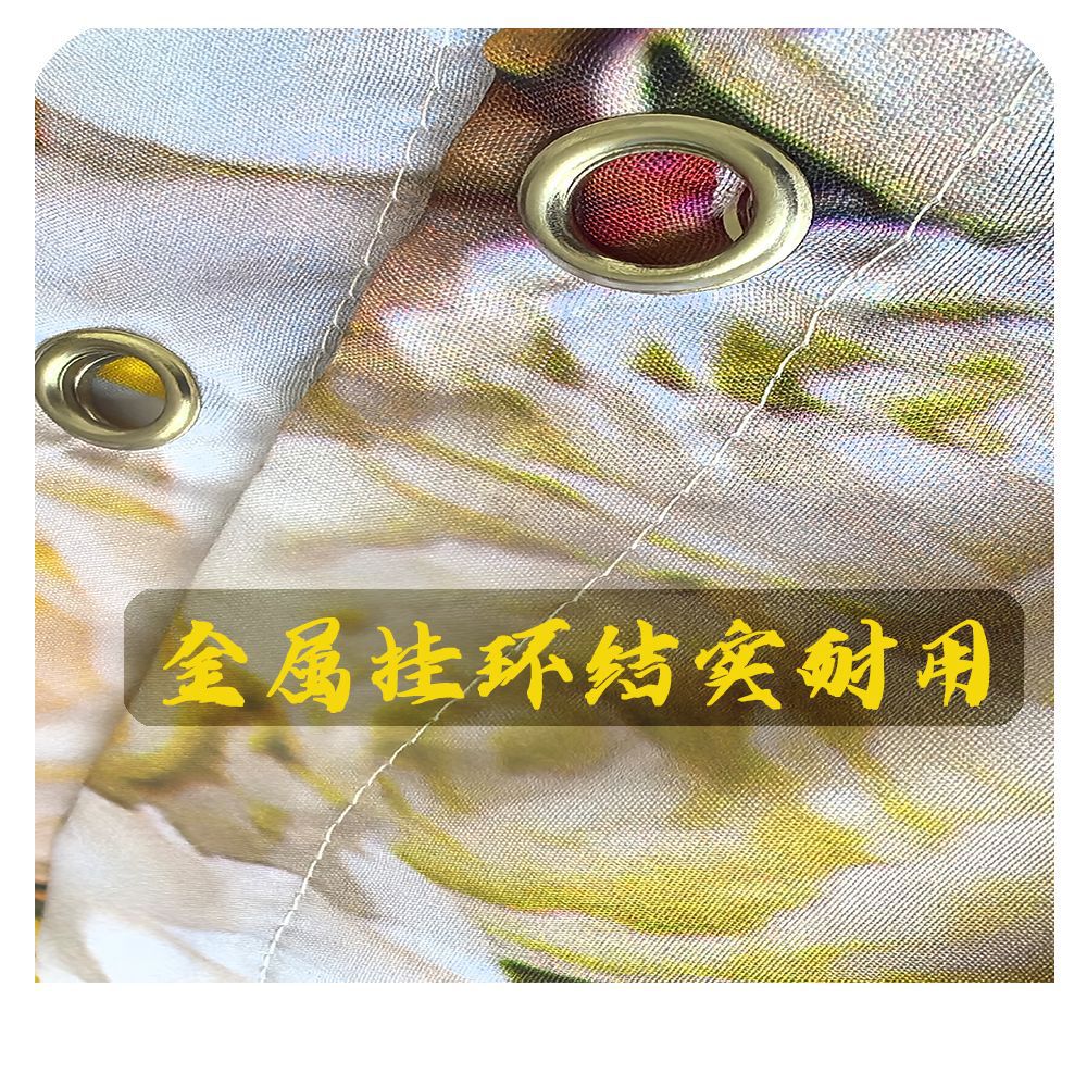 Cross-Border Export Digital Printing Shower Curtain Bath Towel Beach Towel Blanket Hanging Cloth Picture Dz Chain·Connected