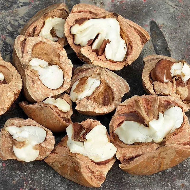 New Sulfur-Free Fengliu Fruit in Stock Wholesale Chinese Herbal Medicine Fengliu Stone Fruit Yin Yang Zi Men's Tea and Wine Ingredients