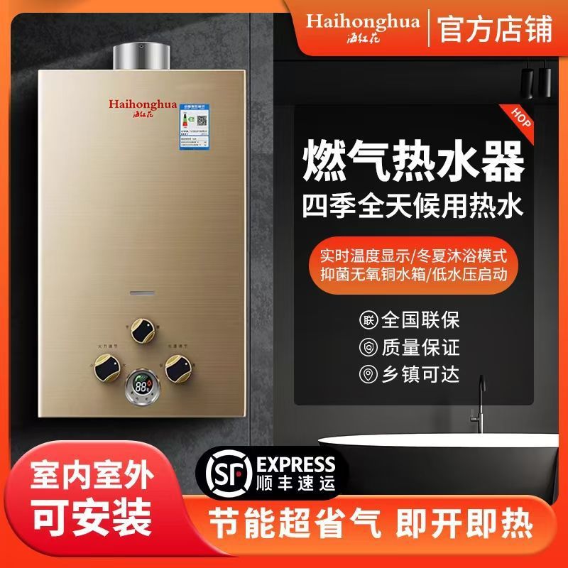 Gas Water Heater for Home Bathroom Rental Room Constant Temperature Gas Water Heater Forced Exhaust Natural Gas Battery Liquefied Gas