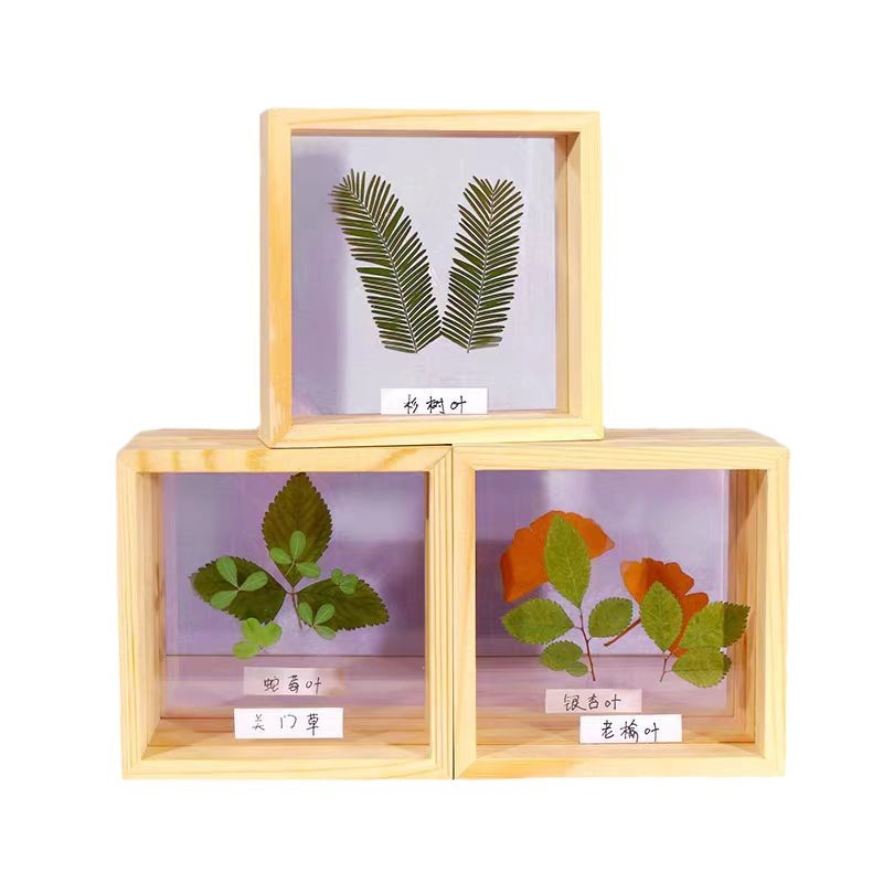 Acrylic Specimen Glass Picture Frame Solid Wood Photo Frame Kindergarten DIY Painting Dried Flowers Art Materials Handmade