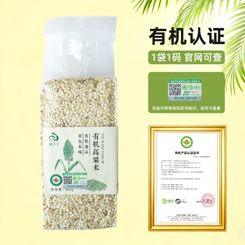 Organic White Sorghum Rice New Rice 480g Staple Fitness Meal Replacement Shelled and Peeled Sorghum Rice Kernels Whole Grain Source Factory