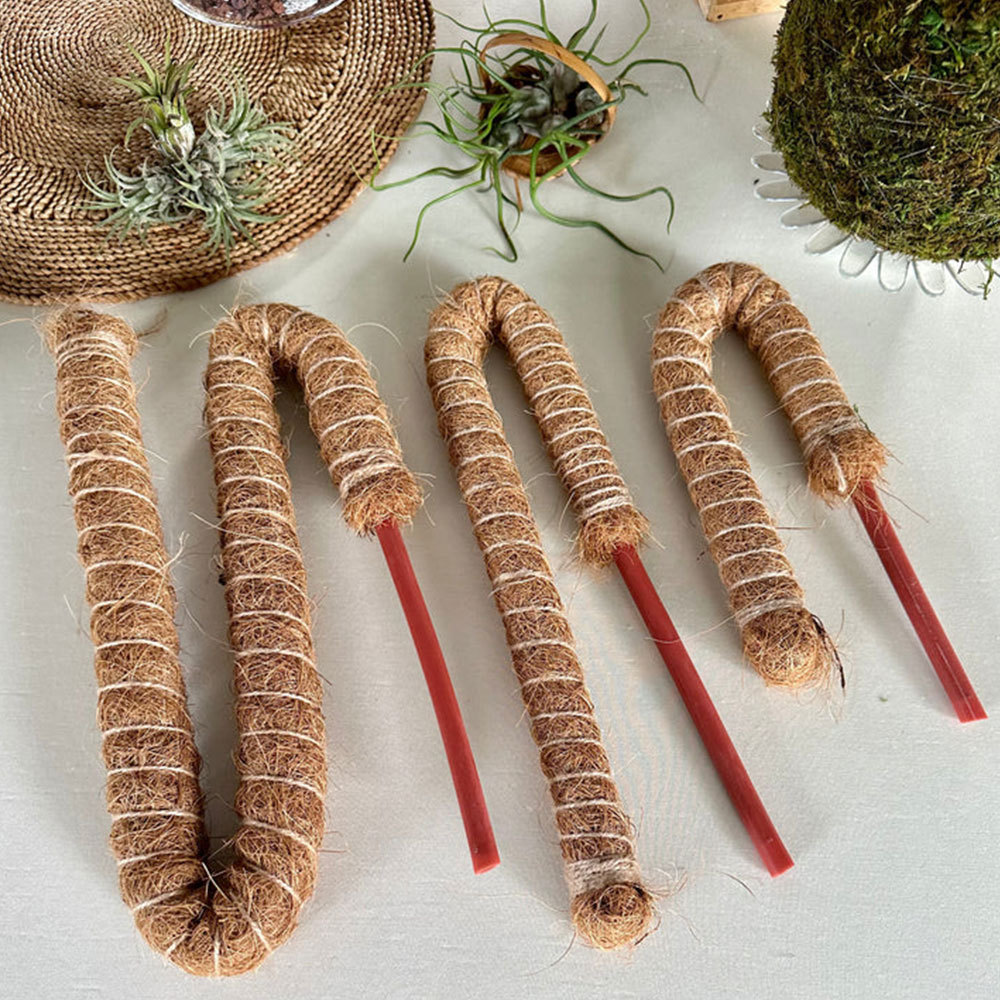 Bendable Moss Rod Plant Support Set Coconut Palm Fiber Rock Climbing Plant Stand Curved Coconut Palm Rod