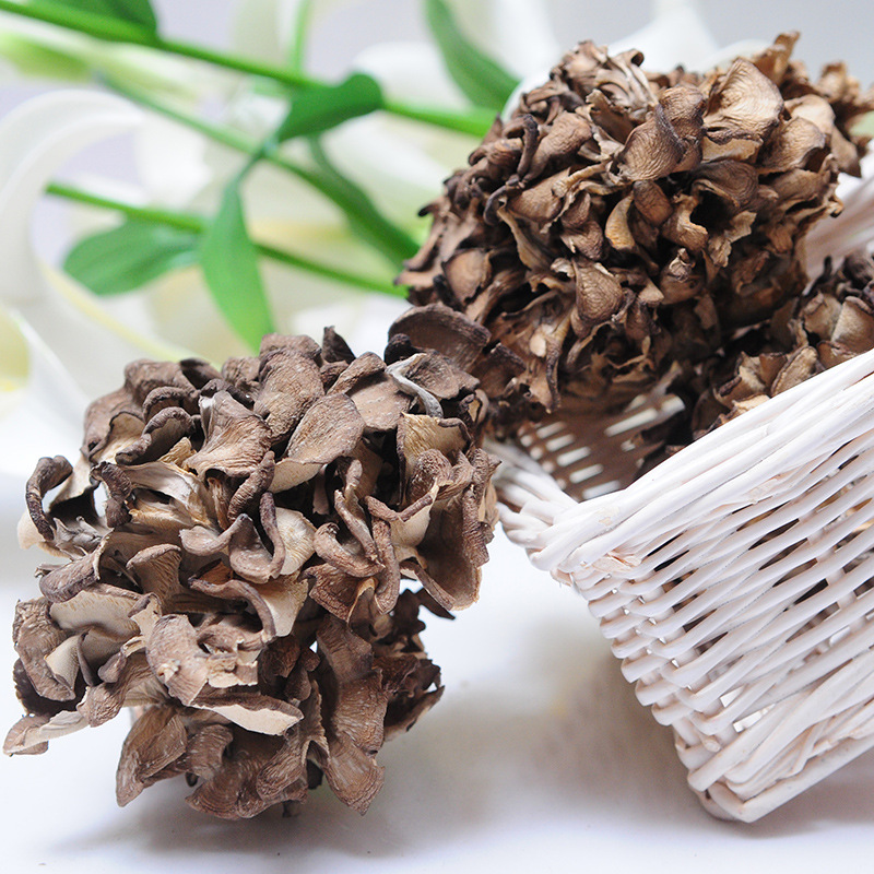 Grifola Frondosa Qingyuan Manufacturer Direct Supply (Maitake) Dry Goods Sulfur-Free New Goods 500g Commercial Mushrooms Ready for Sale