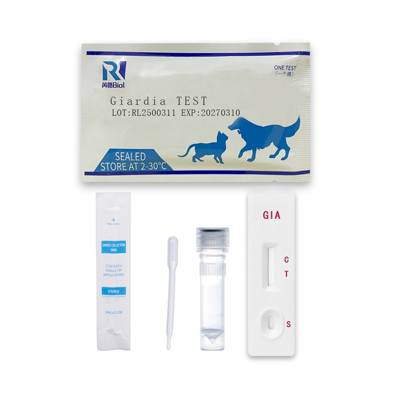 Cross-Border Hot Selling Pet Test Paper Amazon Aliexpress Dog Cat Jia Dawhip Caterpillar Giardia Test Paper Card