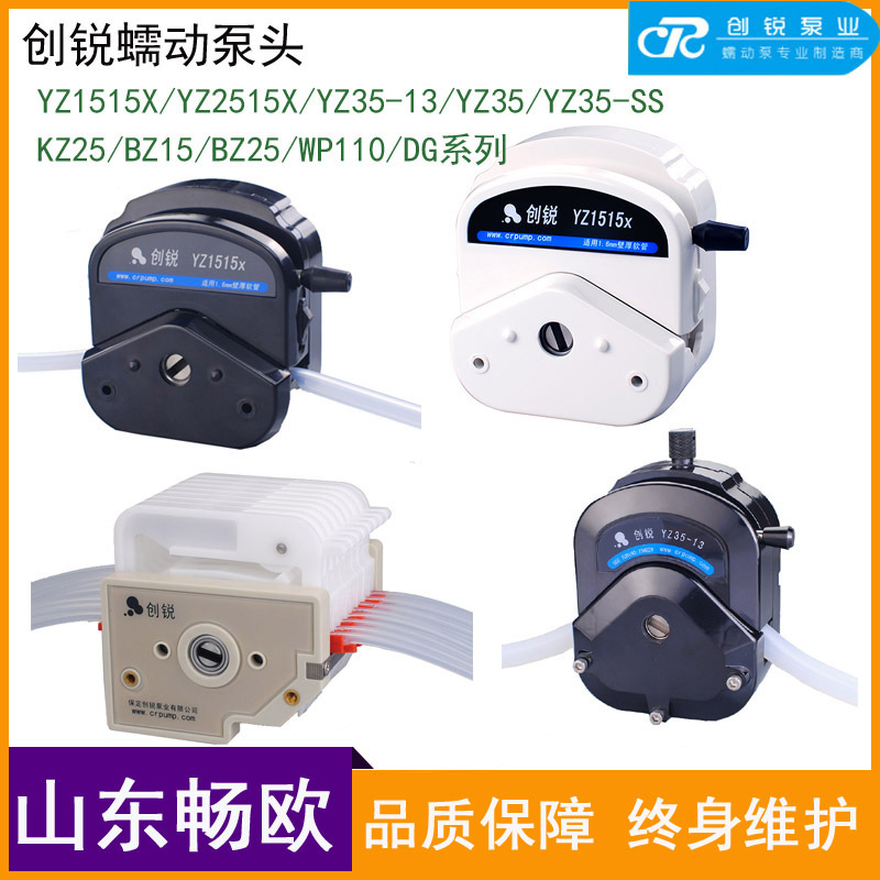 Перистальтический насос Chuangrui, насосная голова Yz2515X/Yz1515X/Kz25/Yz35/Yz35-13/Dg Series Kz35