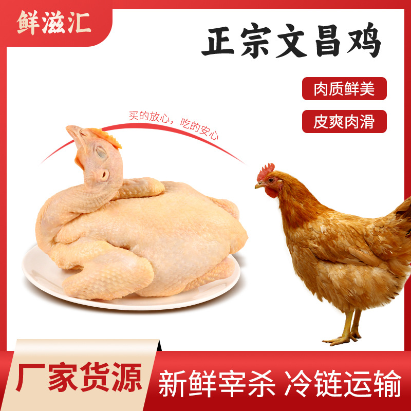 Курица Хайнань Вэньчан, кокосовая курица, прямая продажа от производителя, свежезабитая, свежая белая курица, фермерская курица на свободном выгуле, травяная курица