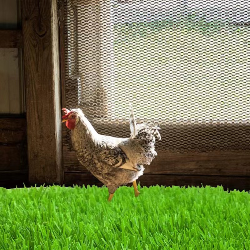 Cross-border special for chicken nest mat chicken nest mat egg mat pet mat shock absorption warm washable