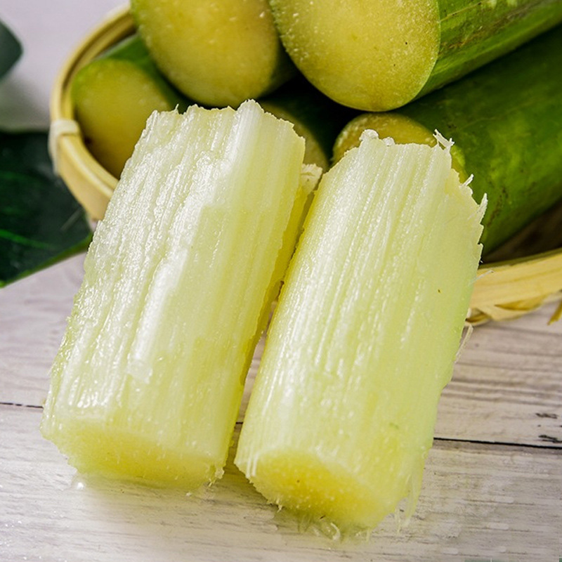 Sf Express Tao Shan Green-Skinned Fresh Cane Sugar Seasonal Fruit Cane 2.5kg Crisp Sweet Cane Sugar