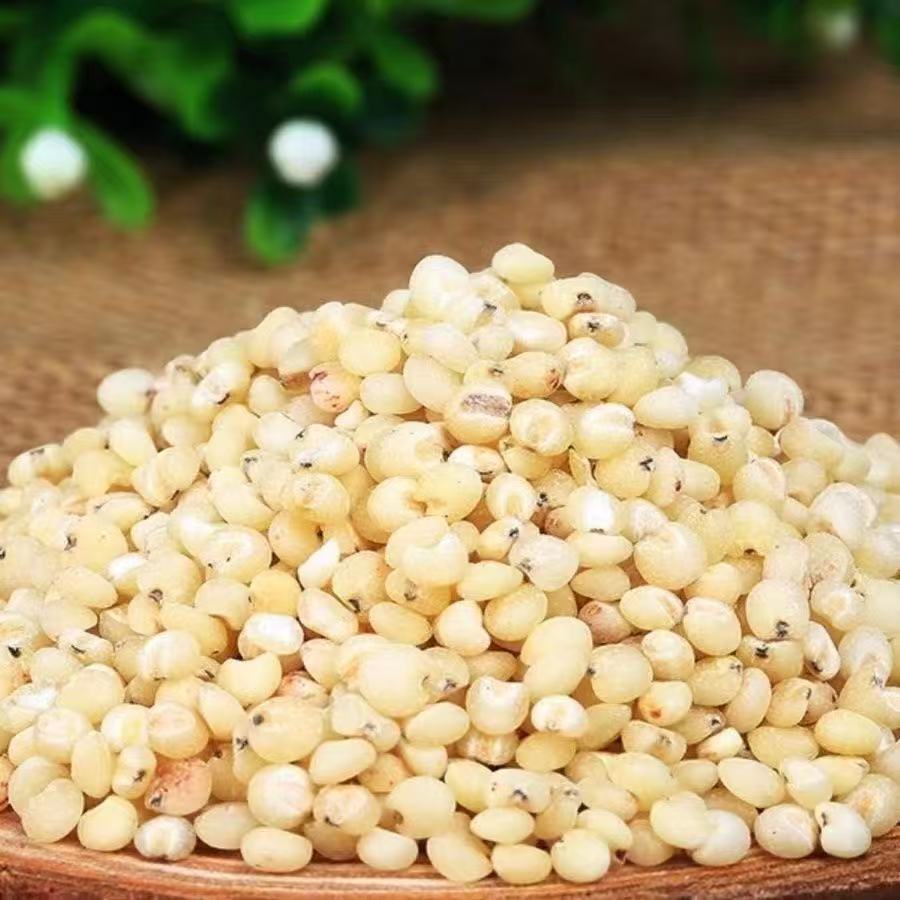Seasonal New Arrivals: Northeastern Farm Sorghum Rice, White Sorghum Rice, Sorghum Kernels, Shelled Grains, Whole Grains, and Coarse Grains for Dropshipping