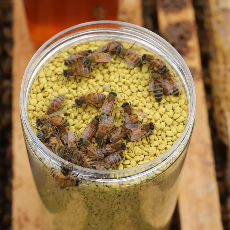 500g Qinghai Pure Rape Pollen Bee Pollen