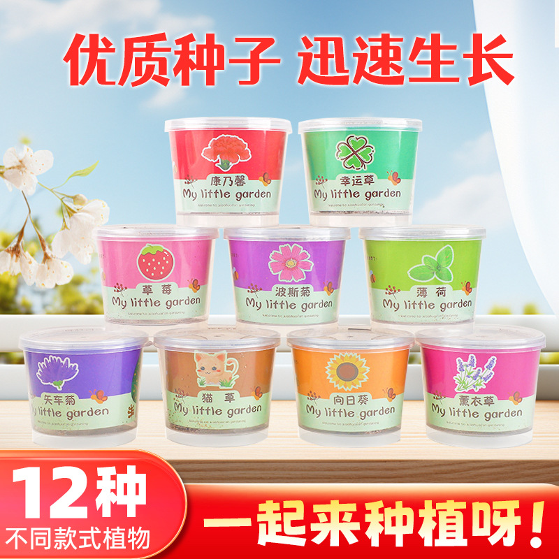 Семена травы для кошек, мини креативные горшки с подсолнечником и клубникой, подарок для посадки, зеленое растение на столе