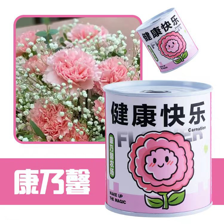 Back-To-School Gift Blind Box Potted Plant Kindergarten Gift Indoor Planting Flower Seeds Student Desktop Green Plant Potted Plant