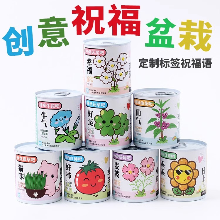 Детские маленькие горшечные растения, слепая коробка мини цветочных фермеров для детского сада, подарок для учеников начальной школы, наблюдение за ростом растений и прорастанием