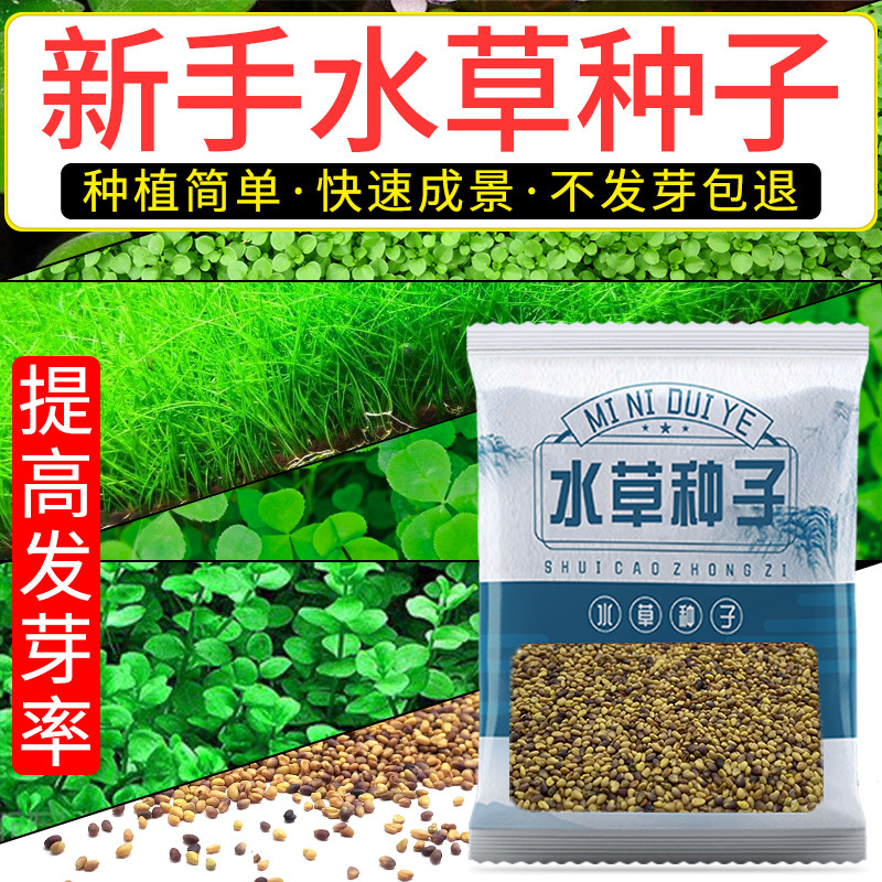 Оптовая продажа семян водных растений, семена лотоса, живые настоящие травы для аквариума
