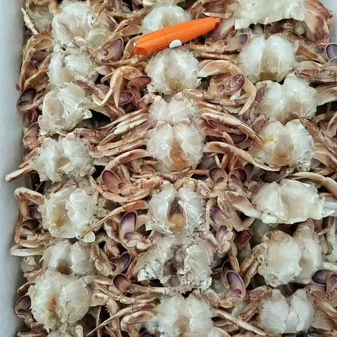 Frozen Selected Cooked Frozen Lucky Crab Medium Lucky Crab Buffet Hotel Restaurant Frozen Seafood Aquatic Products Wholesale