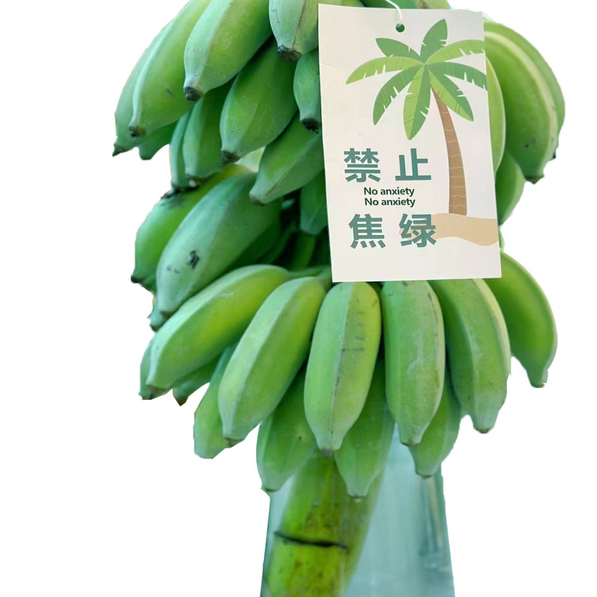 Whole Bunch of Bananas with Stems, Fresh Fruit, Hydroponic Green Plants, Anxiety-Relief, Dropshipping, Naturally Ripe, Sweet, from Guangxi