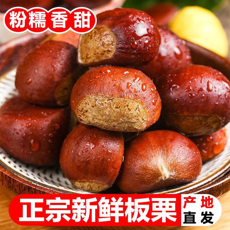 正宗【丹东板栗】生板栗新鲜采摘带壳栗子当季应季毛栗子批发