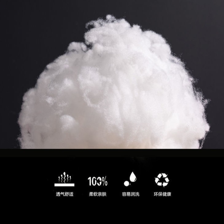 Wholesale Pillow Core Product Link Price Change Link for Non-Physical Price Change