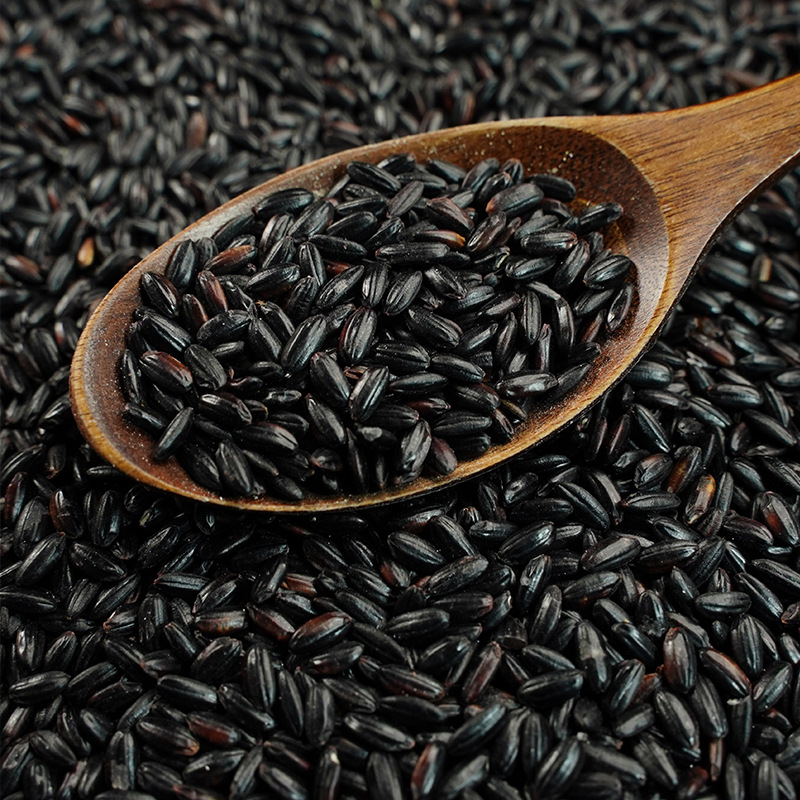 Yi Xiaomei Yitian Cereals Organic Black Rice Northeast Black Rice Cereals Rice Factory Wholesale 900g