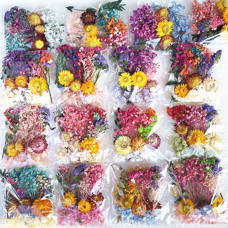 Dried Flower Material Bag Pack Immortal Dried Flower Material Painting Fan Greeting Card Handmade Dried Flower Small bouquet Natural True Flower Drops of Glue