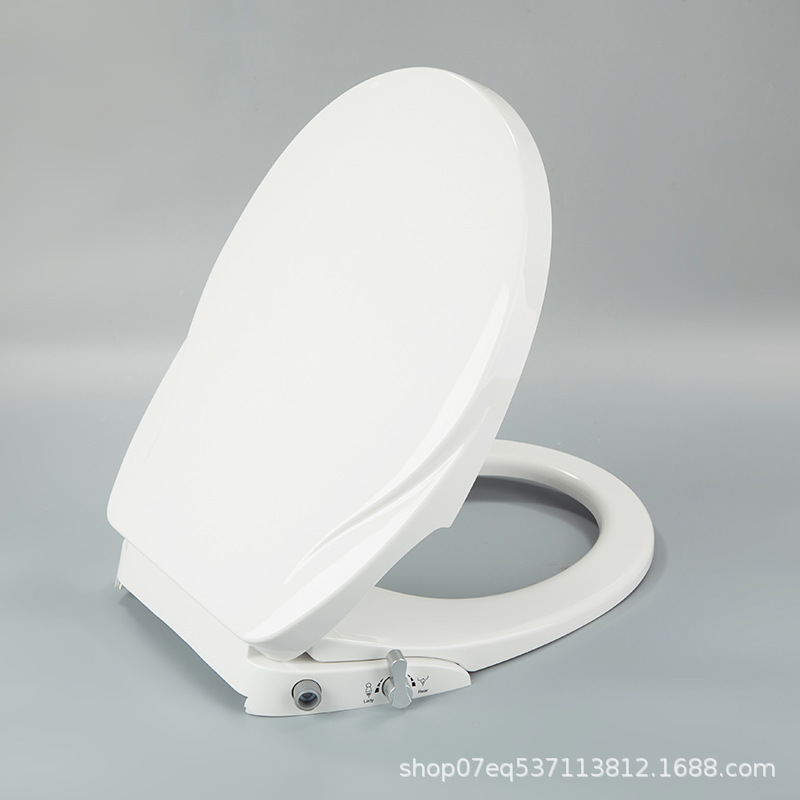 Flushable Toilet Seat, Smart Toilet with Bidet, Feminine Hygiene Device, Electric-Free Toilet Seat